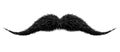 Mustaches for barbershop or Mustache Carnival. Detailed vintage black victorian mustache isolated on white