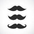 Mustaches vector icon