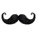 Mustachio on Transparent background - Ai Generated Royalty Free Stock Photo
