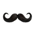 Mustachio on Transparent Background - Ai Generated Royalty Free Stock Photo