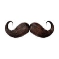 Mustachio on Transparent Background - Ai Generated Royalty Free Stock Photo