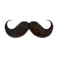 Mustachio on Transparent Background - Ai Generated Royalty Free Stock Photo