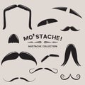 Mustachio! Vector Mustache Set Royalty Free Stock Photo