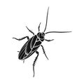 A mustachioed cockroach. Arthropod insect, cockroach single icon in black style vector symbol stock isometric