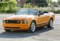 Mustang Royalty Free Stock Photo