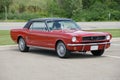 Mustang Royalty Free Stock Photo