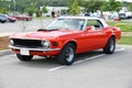 Mustang Royalty Free Stock Photo