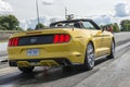 Mustang on the track