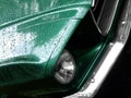 Mustang green on the rain Royalty Free Stock Photo