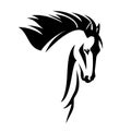 Mustang horse black and white vector head portrait Royalty Free Stock Photo