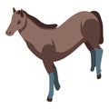 Mustang horse icon, isometric style Royalty Free Stock Photo