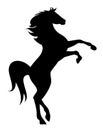 Mustang horse rearing up black silhouette Royalty Free Stock Photo