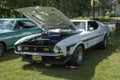 Mustang mach1