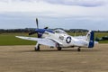 Mustang P51D Royalty Free Stock Photo