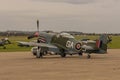 Mustang P51D `The Shark` Royalty Free Stock Photo