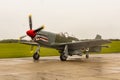 Mustang P51D `The Shark` Royalty Free Stock Photo