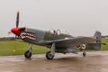 Mustang P51D `The Shark` Royalty Free Stock Photo