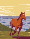 Mustang in Pryor Mountain Wild Horse Range in Carbon and Big Horn Counties of Montana WPA Poster Art