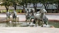 `The Mustangs of Las Colinas` by sculptor Robert Glen in Williams Plaza in the City of Irving, Texas.