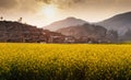 Mustard fields and an ancient village Royalty Free Stock Photo