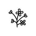 Mustard flower icon. Simple line, outline vector elements of botanicals icons for ui and ux, website or mobile application Royalty Free Stock Photo