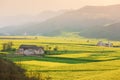 Mustard flowers fields and an ancient village Royalty Free Stock Photo