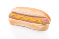Mustard hotdog isolated on white Royalty Free Stock Photo