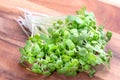 Mustard microgreens, fresh sprouted white mustard, on a cutting board Royalty Free Stock Photo