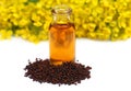 Mustard with oil and flower Royalty Free Stock Photo