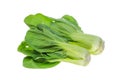 Mustard pakcoy or bok choy is a popular type of vegetable.