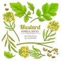 Mustard plant vector Royalty Free Stock Photo