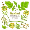 Mustard plant vector