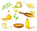 Mustard Plant with Seeds, Oil in Jar and Sauce in Bottle Vector Set