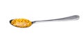 Mustard sauce, wholegrain mustard in small metal spoon isolated on white background Royalty Free Stock Photo