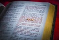 Mustard Seed And Open Bible