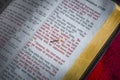 Mustard seed and open Bible Royalty Free Stock Photo