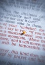 Mustard seed and open Bible Royalty Free Stock Photo