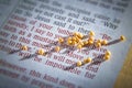 Mustard seed and open Bible Royalty Free Stock Photo