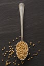 Mustard seed on a silver spoon Royalty Free Stock Photo