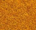 Mustard seeds