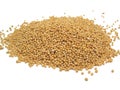 Mustard seeds Royalty Free Stock Photo