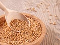 Mustard seeds in close proximity: wooden spoon filled with mustard seeds, culinary ingredient photo Royalty Free Stock Photo