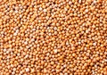 Mustard seeds close-up, background. The view from top Royalty Free Stock Photo