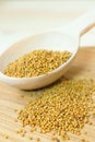 Mustard seeds close-up Royalty Free Stock Photo