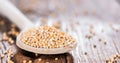 Mustard Seeds on a cooking Spoon Royalty Free Stock Photo