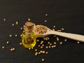 Mustard Seeds Essential Oil, Tincture or Extract in Small Bottle Royalty Free Stock Photo