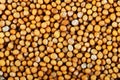 Mustard seeds on a full background close-up horizontal Royalty Free Stock Photo