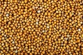 Mustard seeds on a full background horizontal Royalty Free Stock Photo