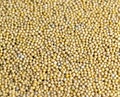 Mustard seeds are orange in color and small in size