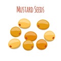 Mustard seeds. Organic condiment. Cartoon flat style. Vector illustration